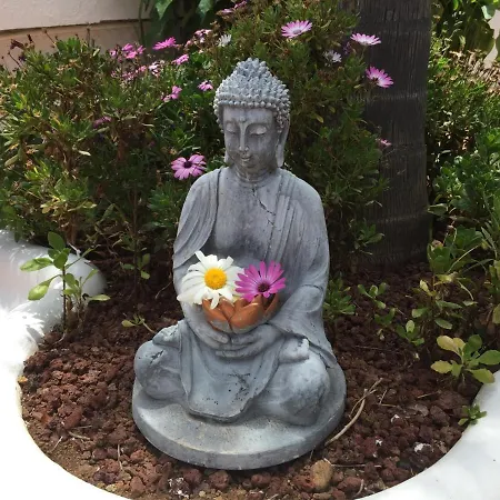 Con Piscina Climatizada, Barbacoa Y Wi-fi En Icod De Vinos - Es-279-19